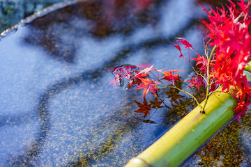 京都　秋の景色　水瓶と紅葉　その１
Kyoto Autumn Landscape No.2
