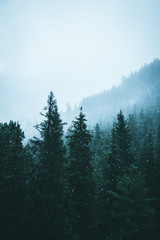 Adventure to mountains