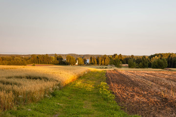 Fototapeta premium field and graveled road under blue sky, Autumn in Finland