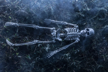 Scary Skeleton Lying In Grass