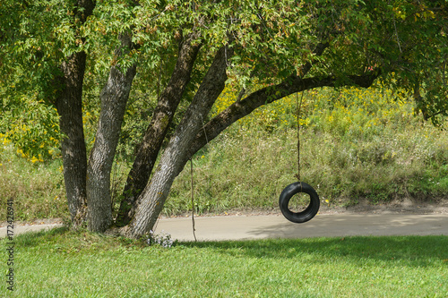 Tire Swing On Tree Stock Photo And Royalty Free Images On