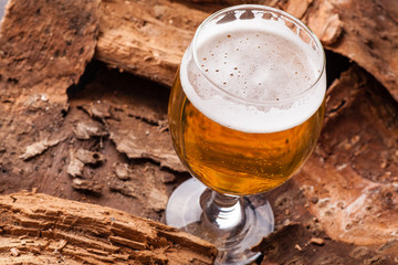 Light beer on bark