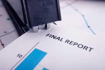 Final Report