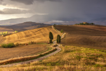 Obraz premium Paesaggio senese