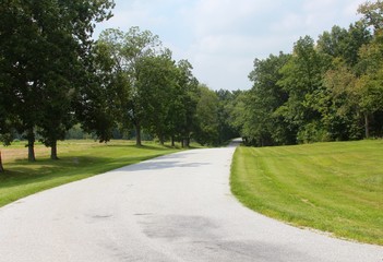 The road in the park on a sunny day.