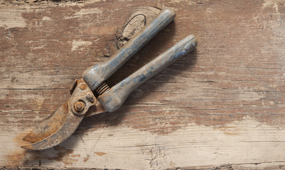 Old shears on wood background