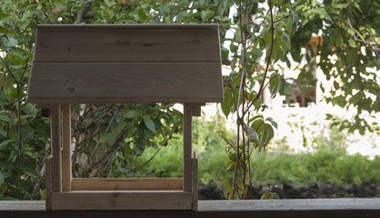 bird feeder