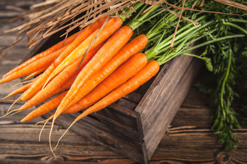 Fresh organic carrot