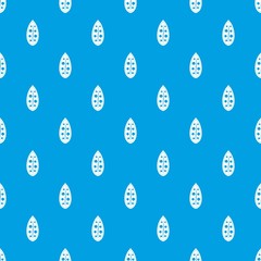 Cocoa pod pattern seamless blue