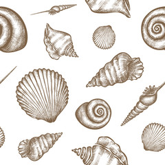 shells_ pattern-01