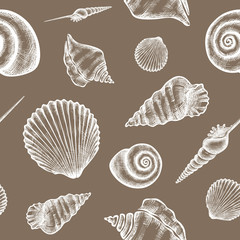 shells_pattern-02