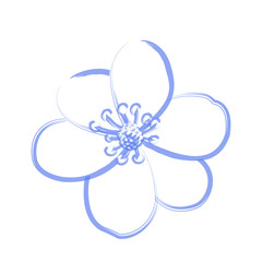 Isolated flower outline on a white background, Vector illustration