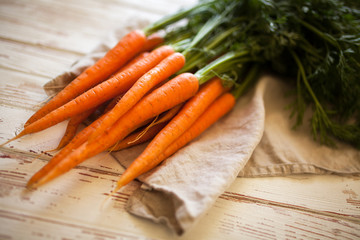 Fresh organic carrot