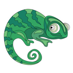 Green exotic chameleon