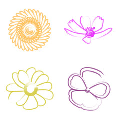 Set of flower outlines on a white background, Vector illustration