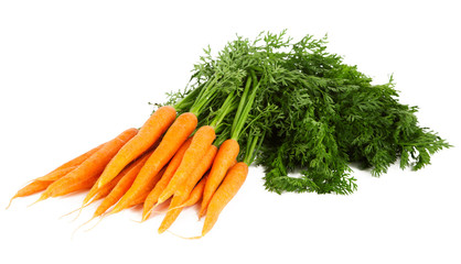 Carrot on white background