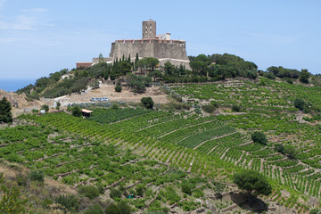 Castle on a Hill in Spain