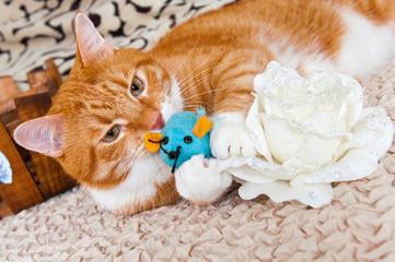 cat playing with toy mouse