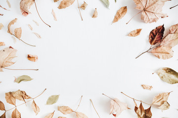 Frame made of dry autumn leaves. Fall flat lay. Top view.