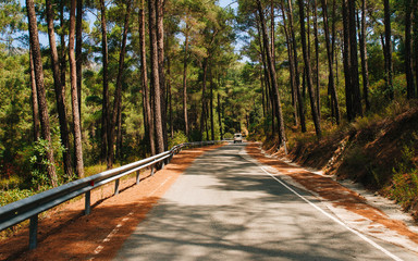 Road to Troodos, Cyprus safari