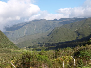 Vers la Plaine des Palmistes