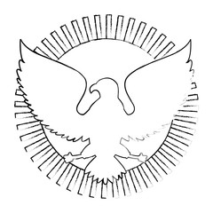 united states of america eagle