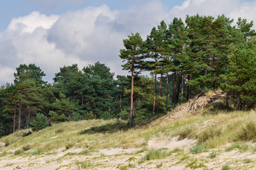 Dunes of Baltic sea.