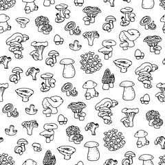 Mushroom hand drawn vector seamlees pattern. Isolated Sketch organic food drawing background. Champignon, morel, enokitake, porcini, oyster, honey agaric, chanterelle, fungi, russula.