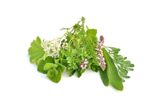 Fresh Green Herbs Bouquet On White