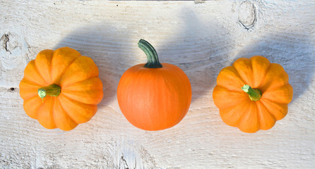 Three pumpkins on wooden background