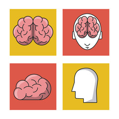 Human brain icons icon vector illustration graphic design