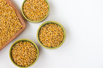 Wheat grain in green box on a white background
