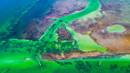 Colorful water, Atlantic Ocean and Gulf of Mexico, Florida Keys, USA. 