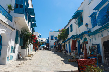 In the streets of Sidi Bou Said.