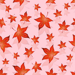 Obraz premium Bright autumn red leaves