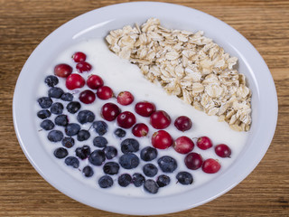 Muesli made from blueberries, cranberry, oat flakes with yogurt and honey, close up