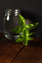 basil