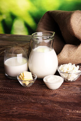 milk products. tasty healthy dairy products on a table
