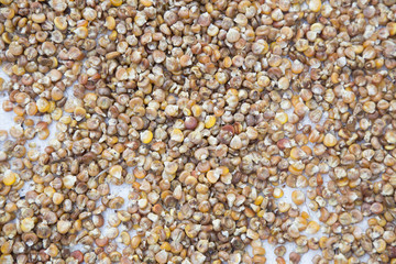 Corn grains background. Dried corn as a background. Top view 