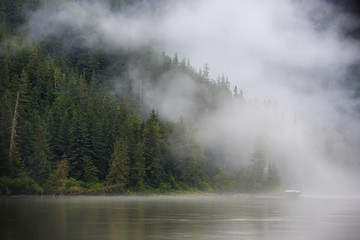 Foggy Rainforest, Stikine River, Alaska