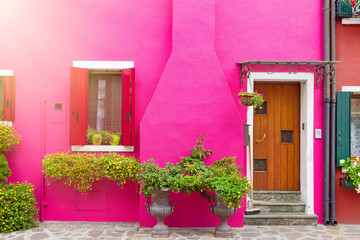 Fototapeta na wymiar Pink house with flowers and plants. Colorful houses in Burano island near Venice, Italy.
