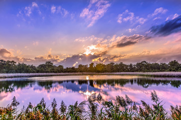 Fototapeta premium Gorgeous Sunset on a Chesapeake Bay Pond