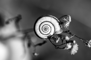 animale del prato nell autunno