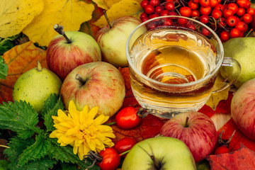 apple cider in the autumn garden with fresh apples