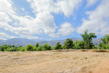 Fototapeta na wymiar Pasture and trees at bottom of mountains
