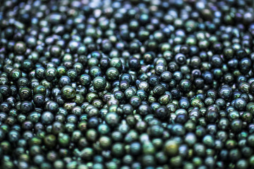 perles noires de tahiti, polynésie