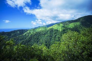 Fototapeta na wymiar paysage tropical dans les îles du pacifique 
