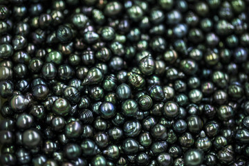 perles noires de tahiti, polynésie