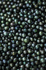 perles noires de tahiti, polynésie