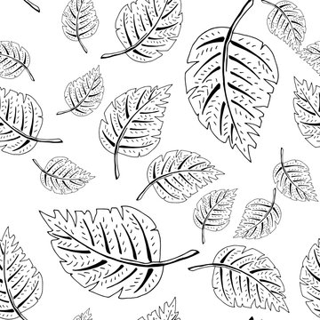 black and white leaf pattern